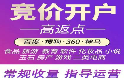 百度竞价优化技巧：实战案例深度剖析